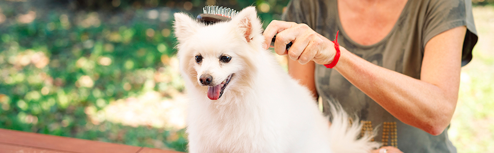 Zu Ihrer Information: